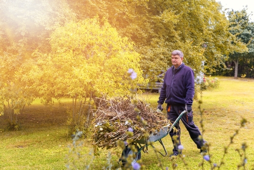 Autumn,Gardening,,Garden,Pruning,,Garden,Preparation,For,Winter.,Happy,Man